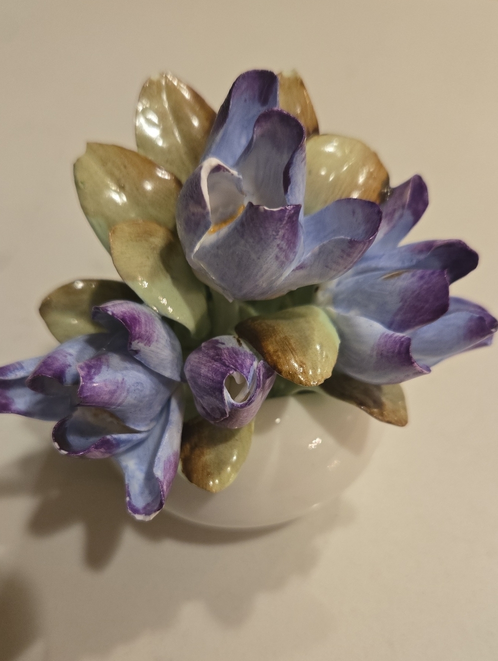Manitoba Crocus Royal Adderley Fine Bone China Vintage Figurine